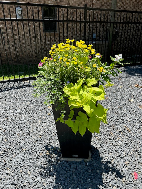 Black Star Gravel Cubic Yard