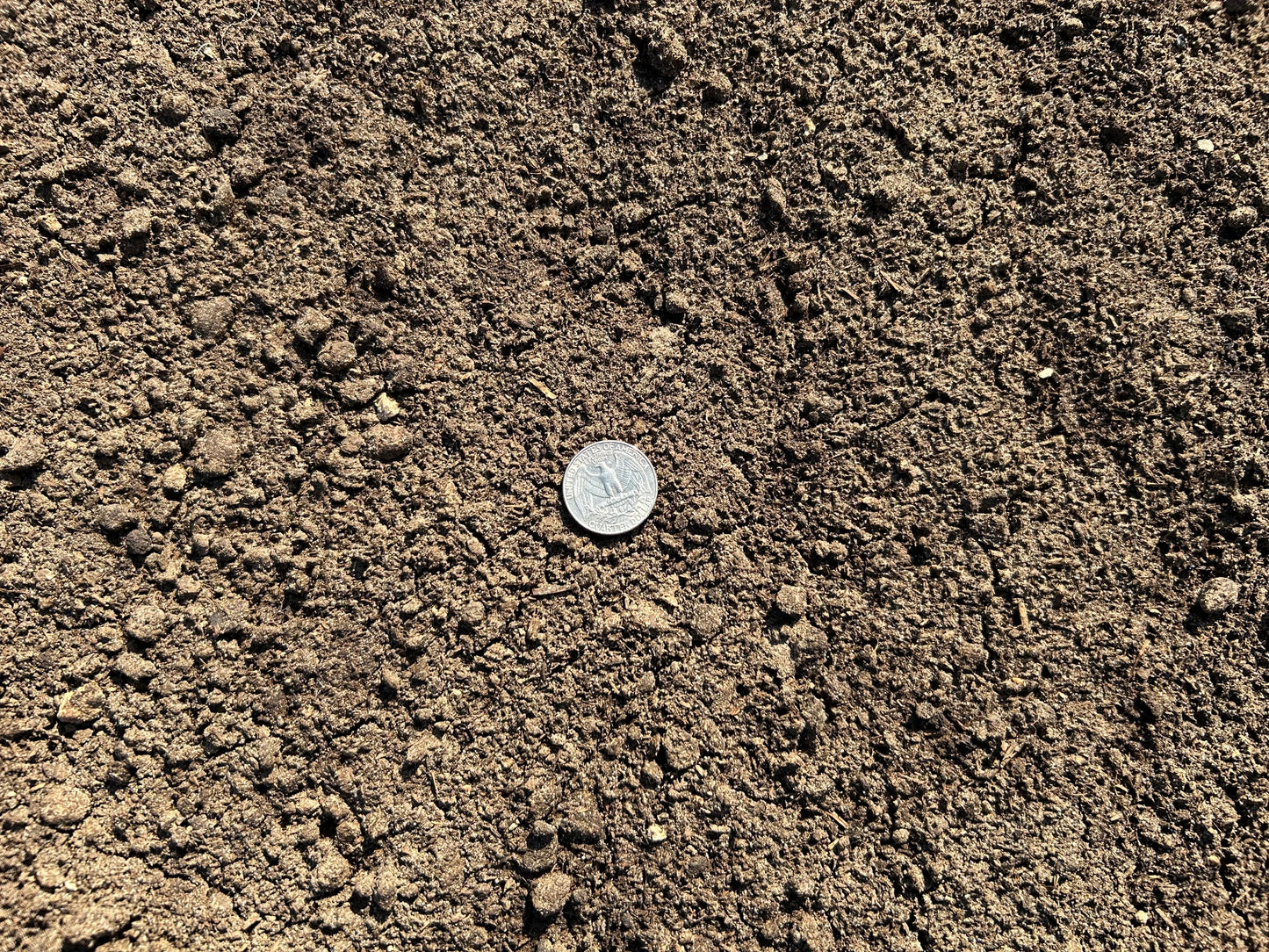 Cow Compost 1/2 Yard