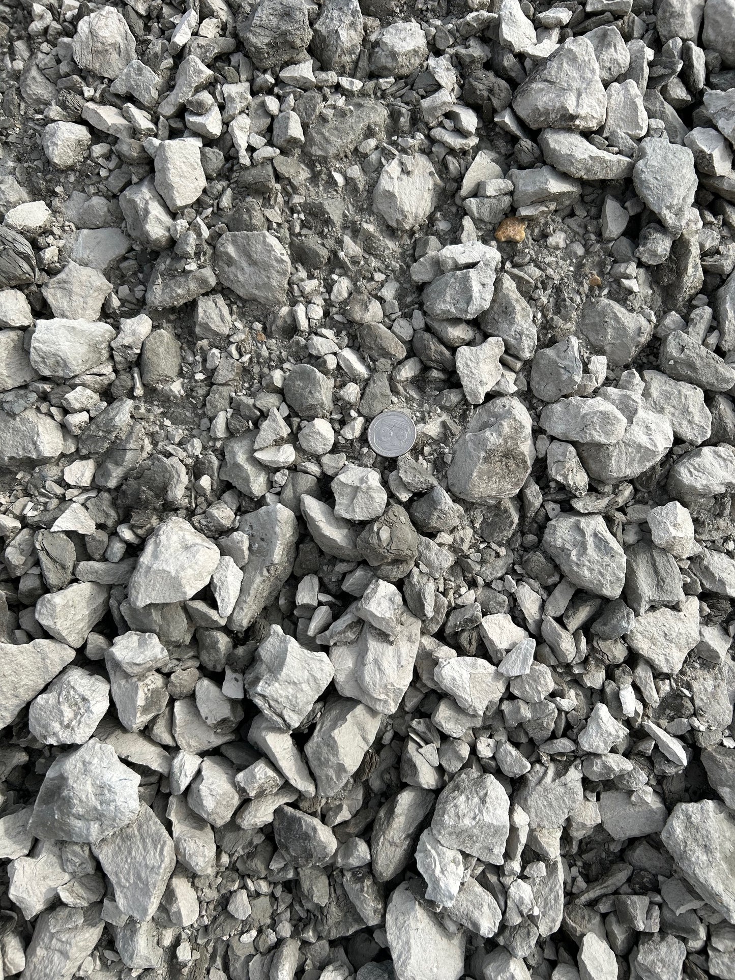 Truckload of Road Base
