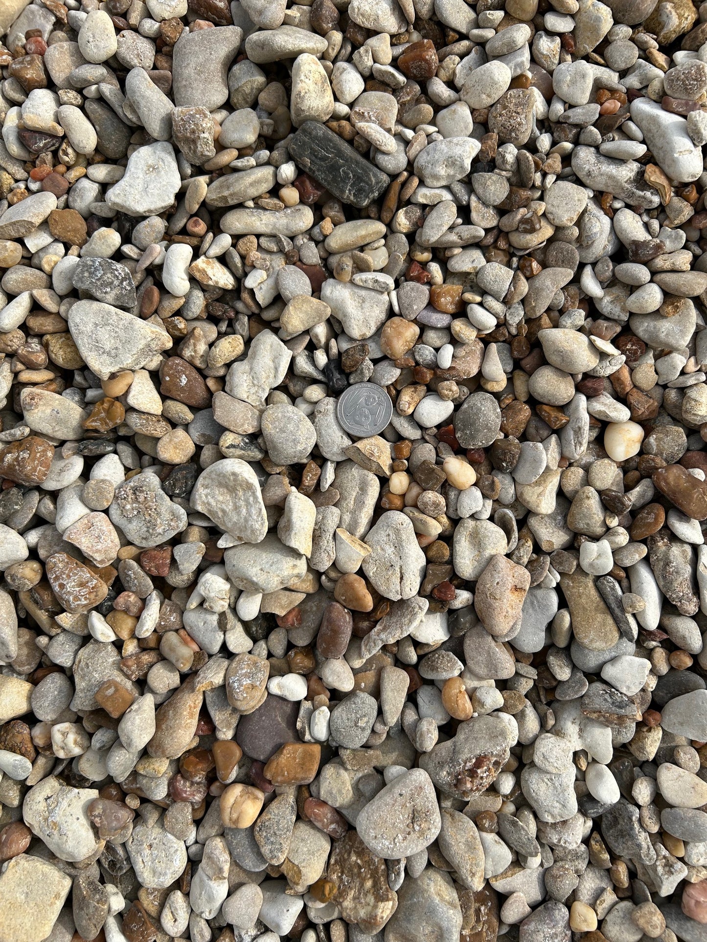 Truckload of Medium Gravel