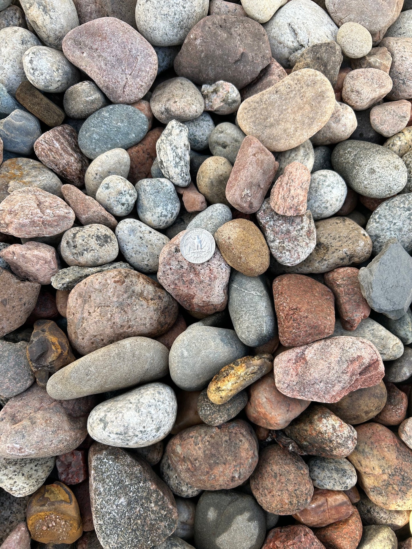 Colorado Rainbow River Rock 1-2"