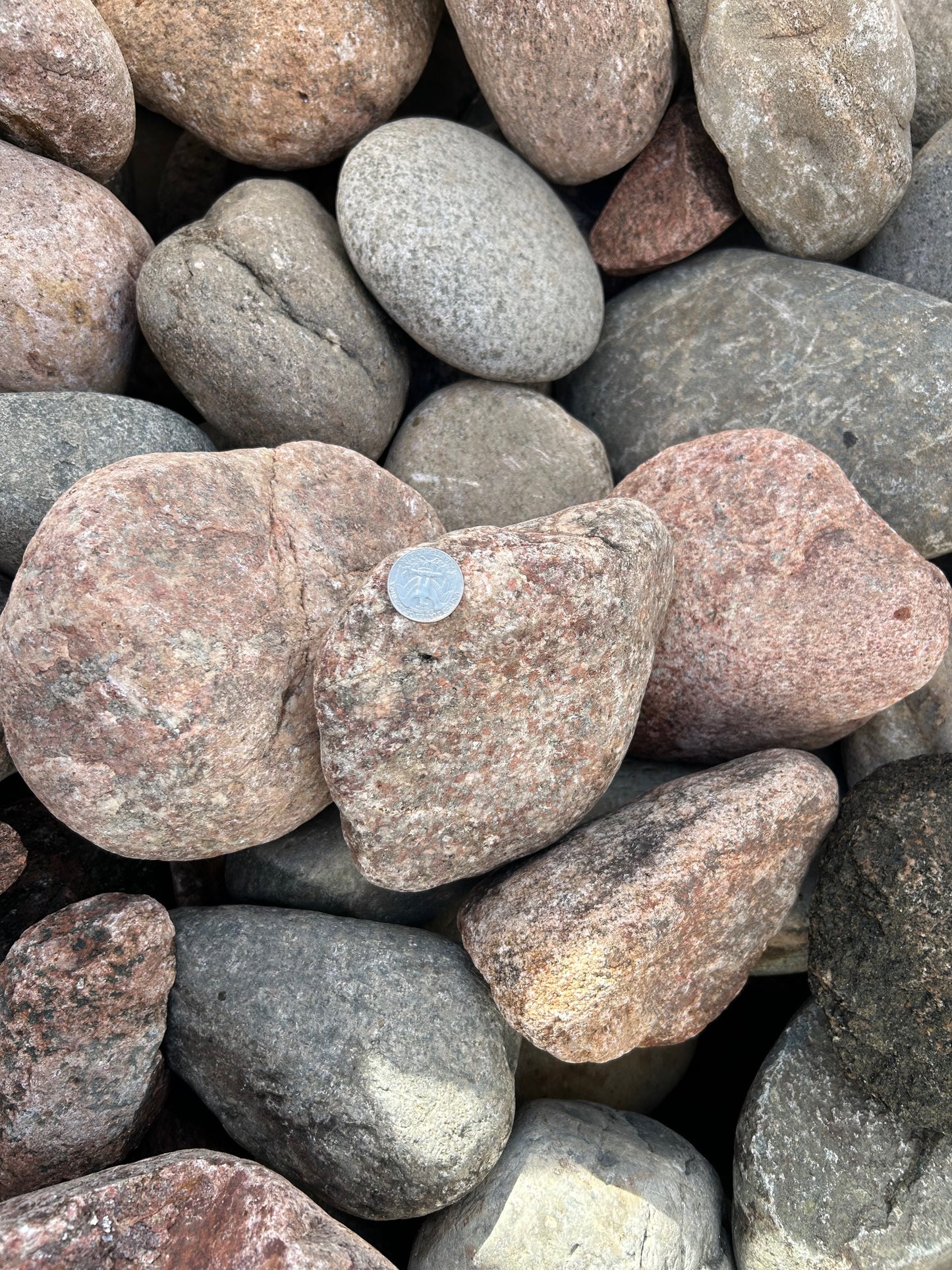 Colorado Rainbow River Rock 4"-8"