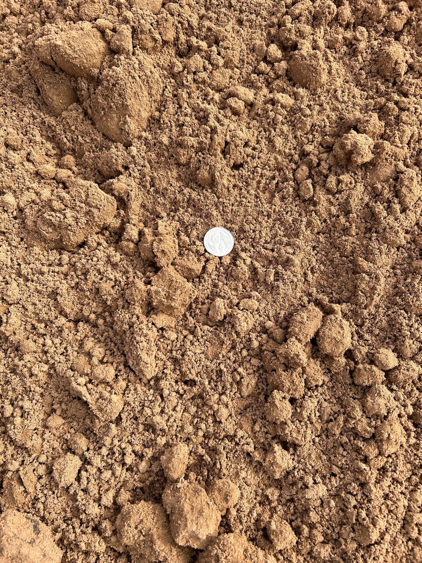 Sandy Loam Dirt Soil