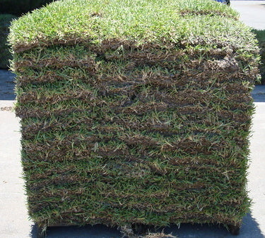 St. Augustine Sod Pallet