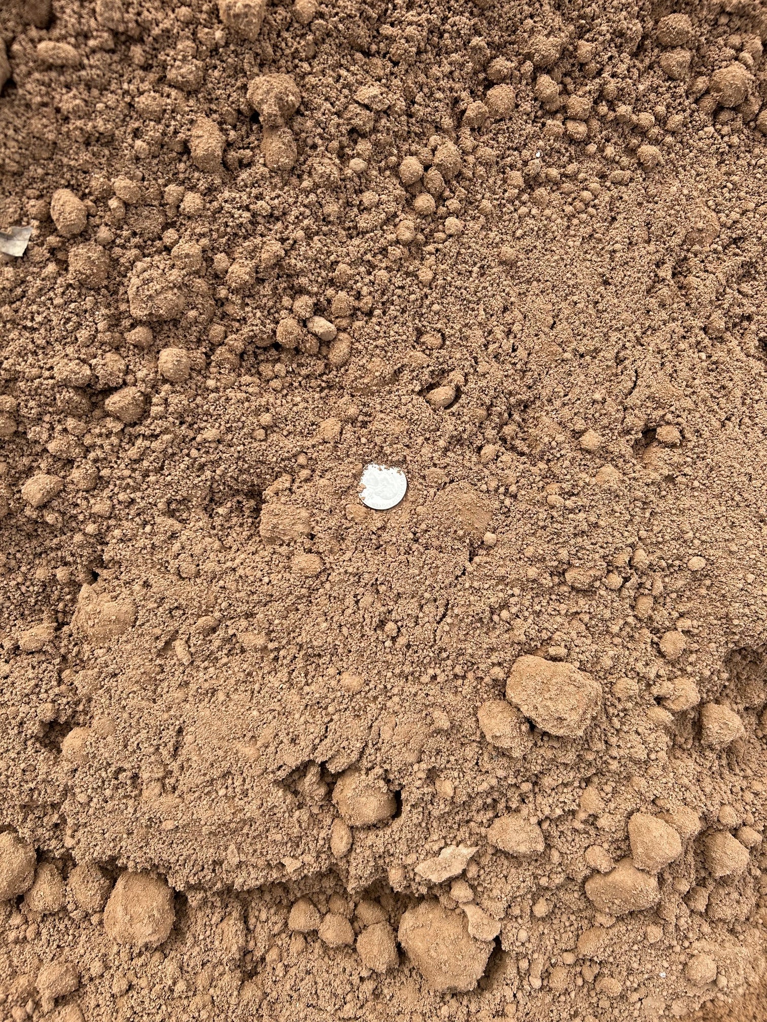 Top Soil Dirt