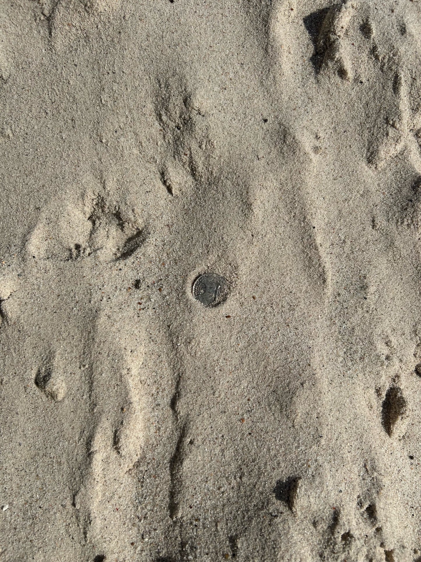 White Sand Cubic Yard