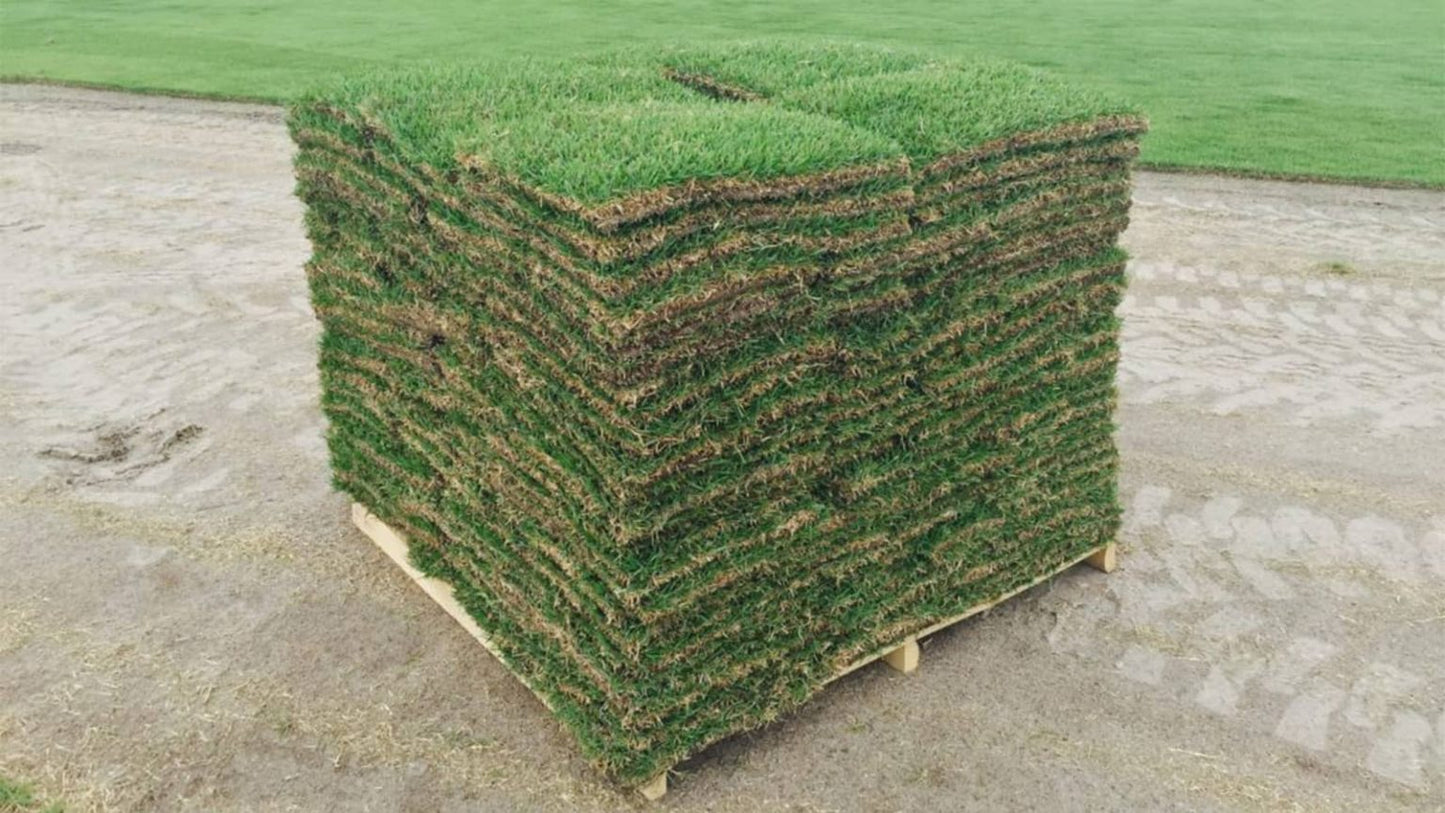 Bermuda Sod- Pallet