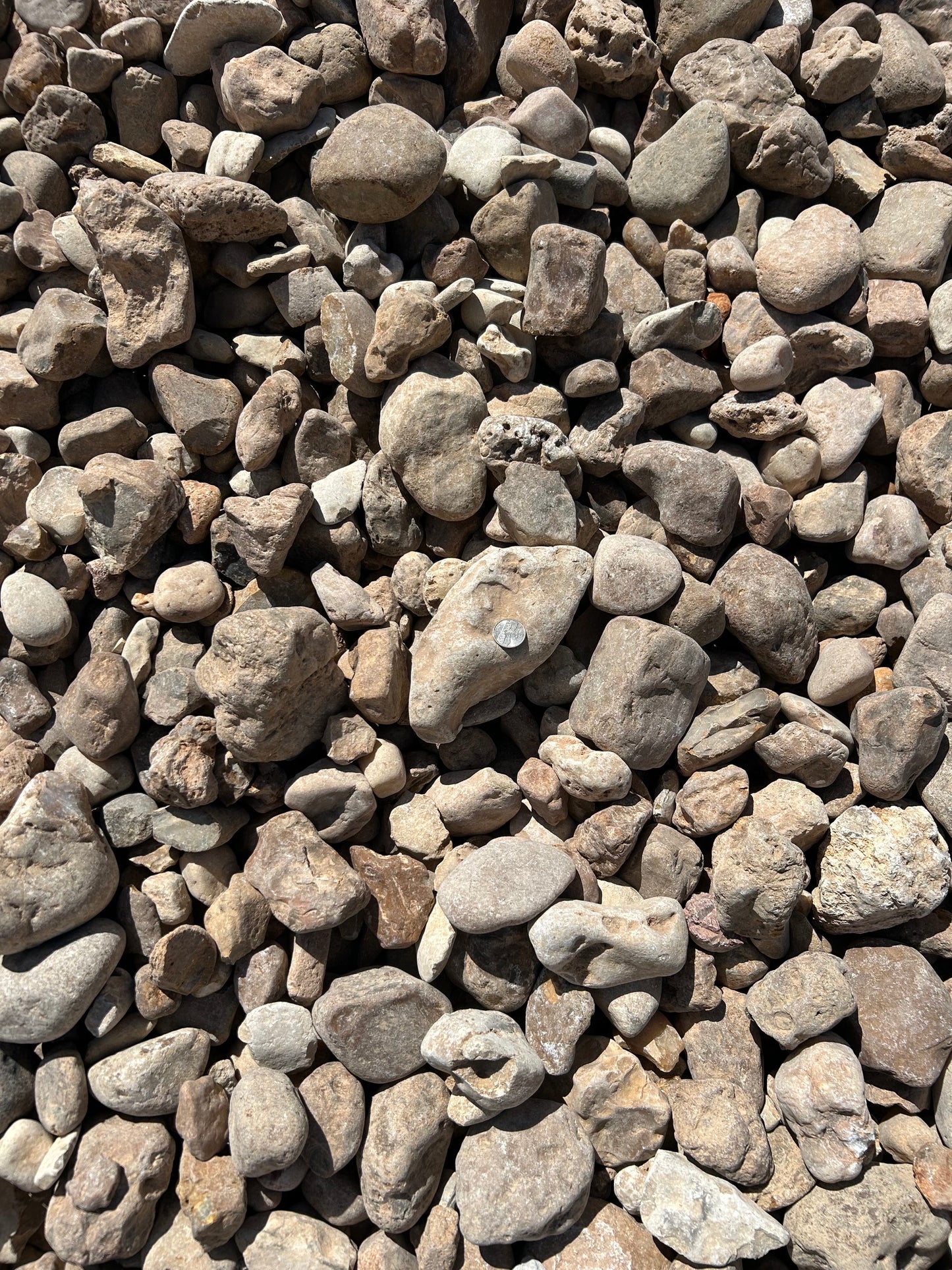 Colorado Bull Rock 2x5