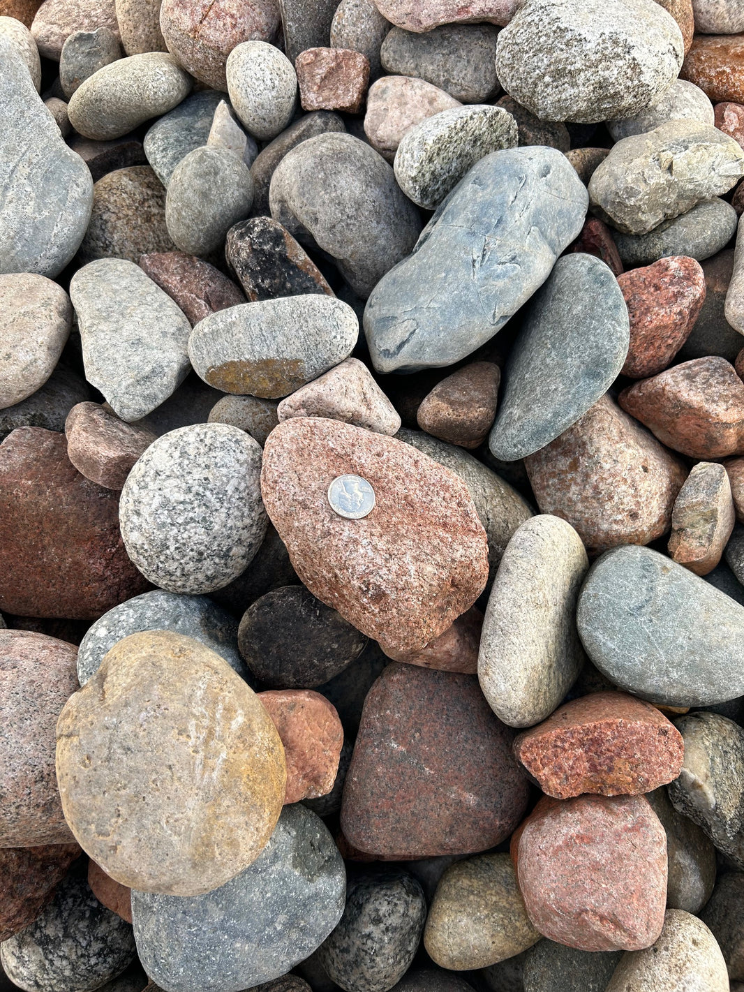 Cobble Sized Rocks Colorado River Rocks in Waco, Texas | Colorado River Cobble