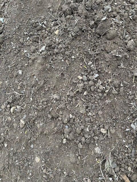 Fill Dirt